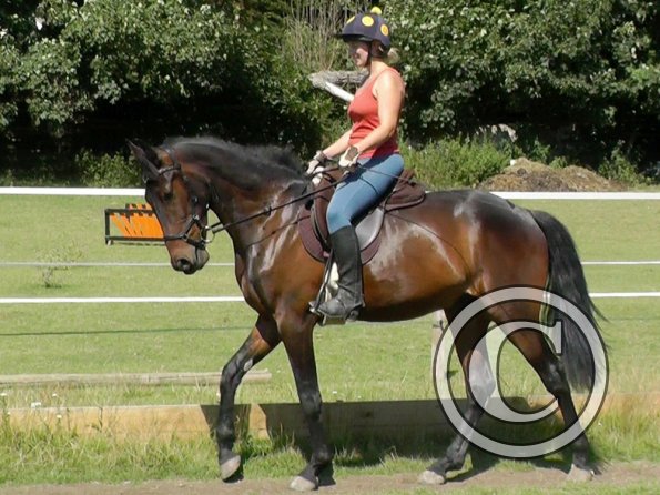 Fluke schooling (15)