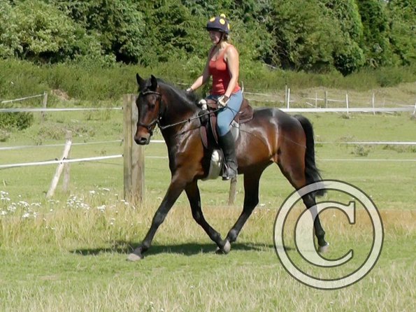 Fluke schooling (17)