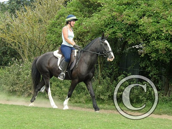 Anna schooling Jessie (13)