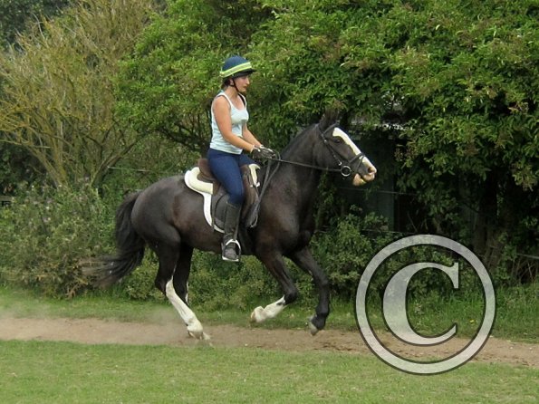 Anna schooling Jessie (18)