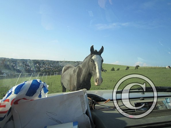 Anna schooling Jessie (19)