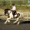 Lance canter (2)