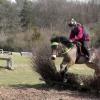 Daisy and Appley XC (10)