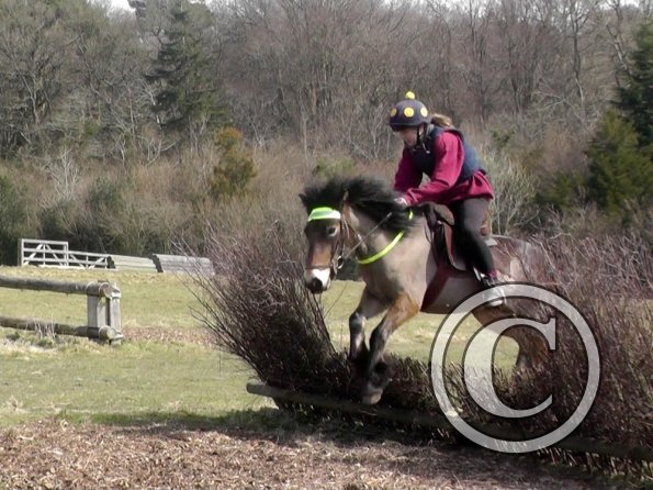 Daisy and Appley XC (10)