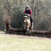 Daisy and Appley XC (12)