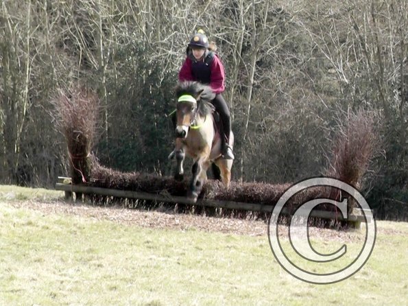 Daisy and Appley XC (12)
