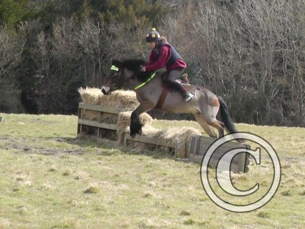 Daisy and Appley XC (4)