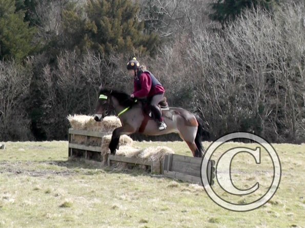 Daisy and Appley XC (5)