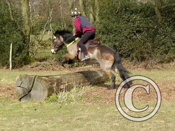 Daisy and Appley XC (8)
