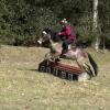 Daisy and Appley XC (9)