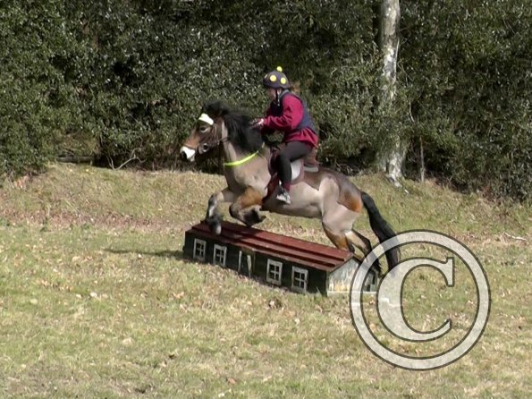 Daisy and Appley XC (9)