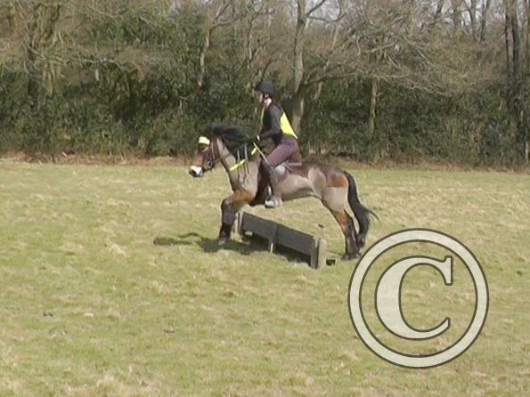 Julia and Appley XC (13)