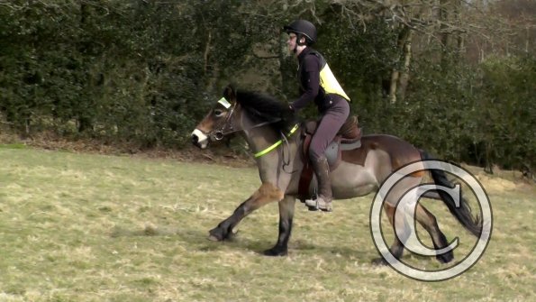 Julia and Appley XC (2)