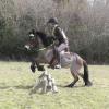 Julia and Appley XC (5)