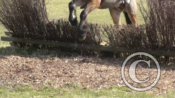 Shame about the photographer