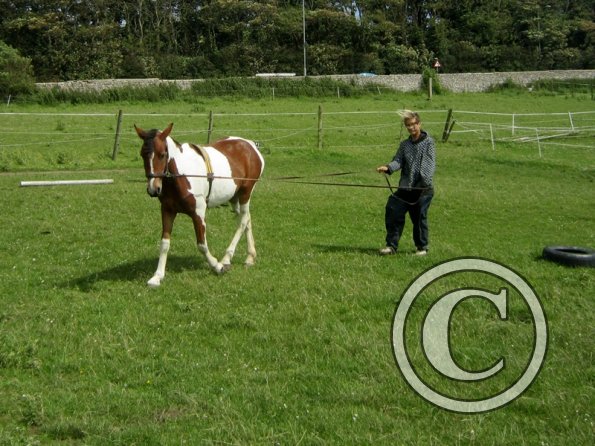 Brodie end of June (10)