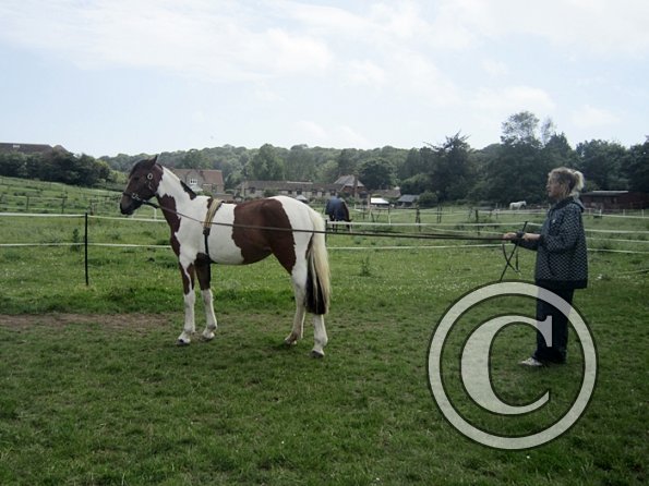 Brodie end of June (3)