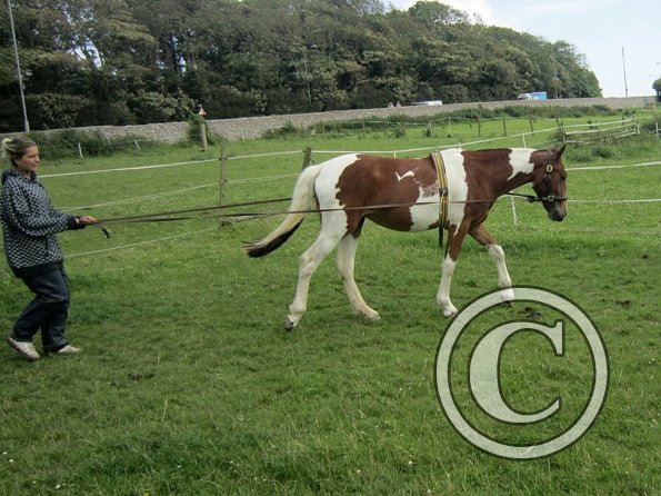 Brodie end of June (7)