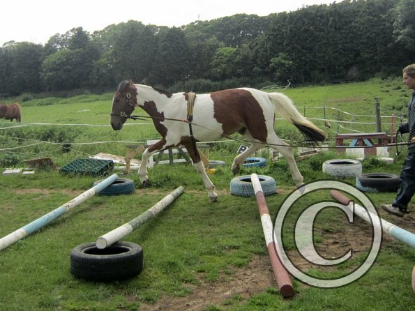 Brodie end of June (9)