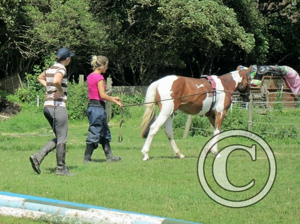 Brodie long reining (13)