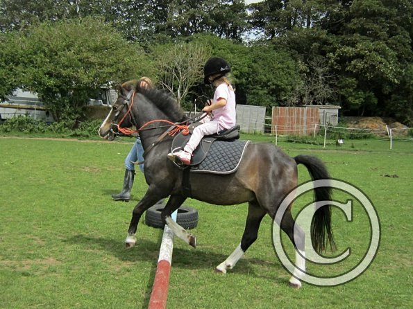 Crystal and Monty (10)