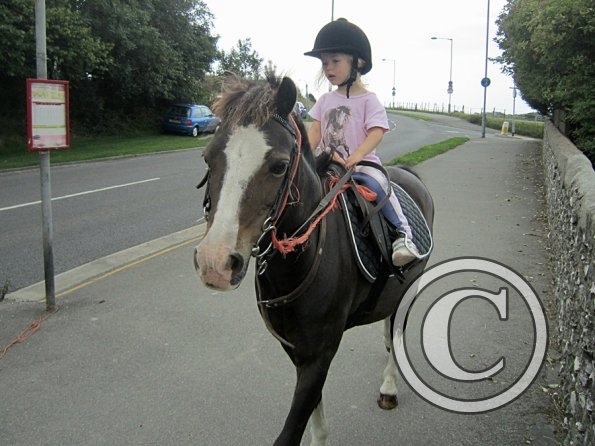 Crystal and Monty (4)