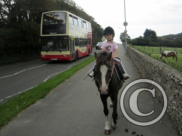 Crystal and Monty (5)