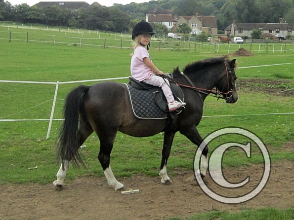 Crystal and Monty (6)