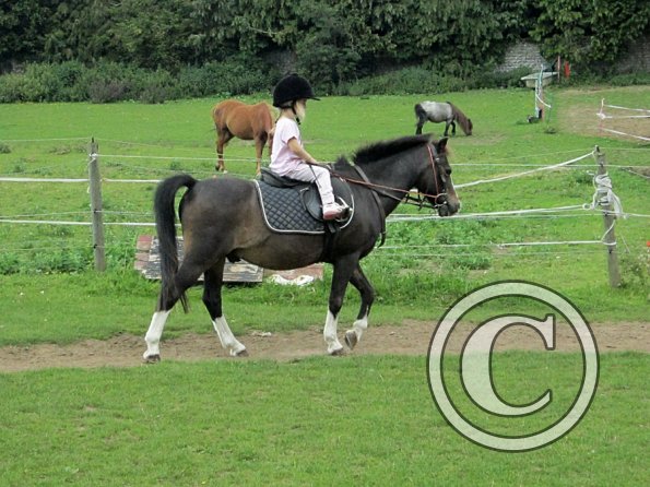 Crystal and Monty (7)