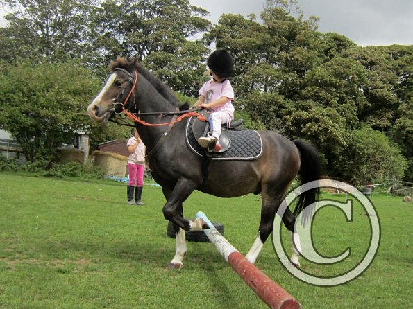 Crystal and Monty (8)