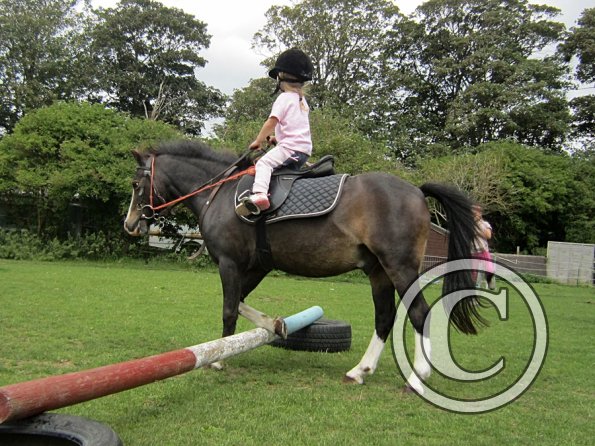 Crystal and Monty (9)