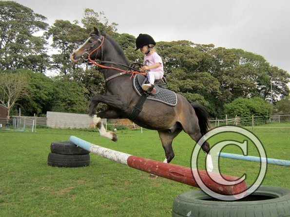 Crystal and Monty jumping