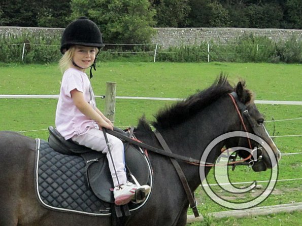 Crystal flatwork (2)