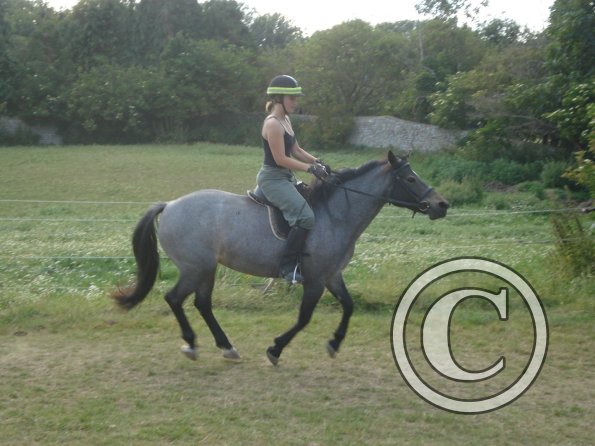 Anna and Dix canter 2.jpg