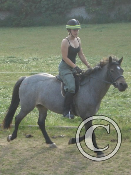 Anna and Dix trot.jpg