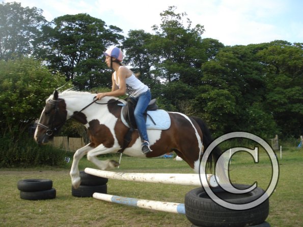 Sani and Fee jump.jpg