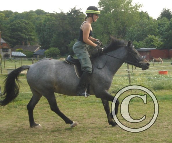 Unbalanced canter.jpg