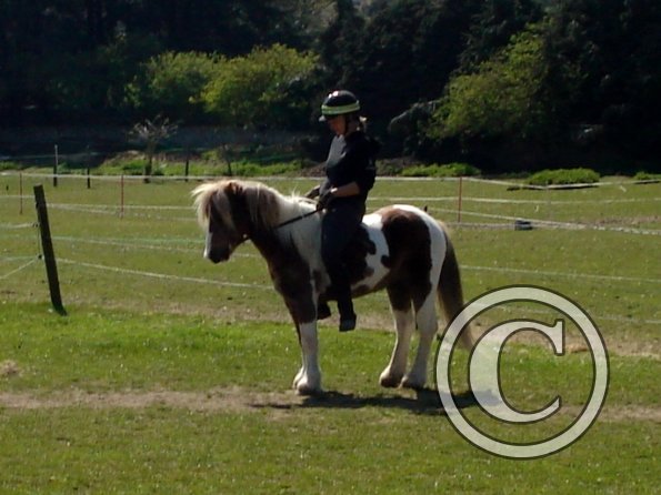 Anna riding first time (15)