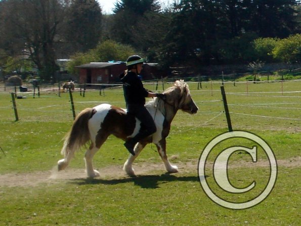 Anna riding first time (7)