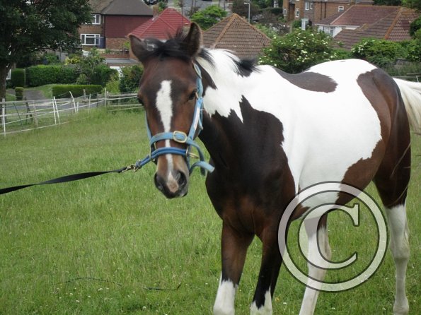 Ghost 2nd time lunge (10)