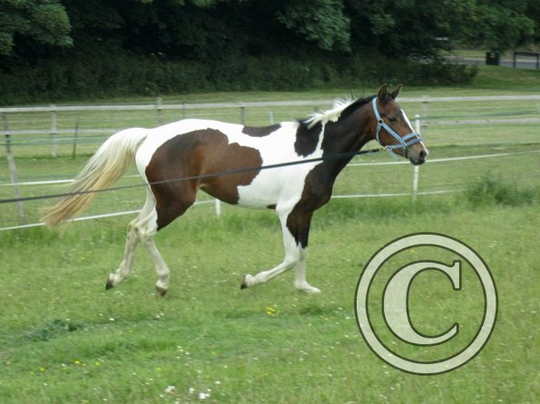 Ghost 2nd time lunge (12)