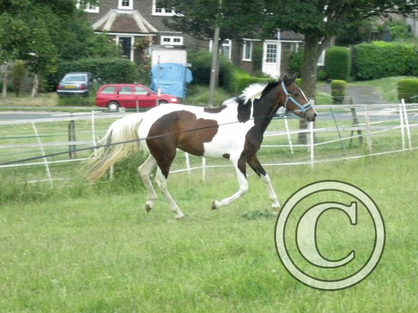 Ghost 2nd time lunge (13)