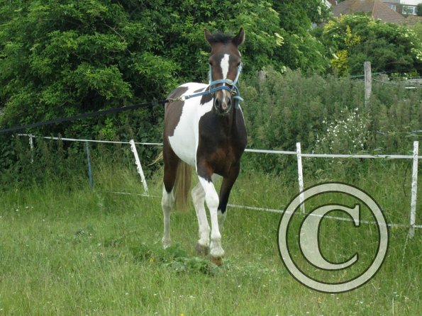 Ghost 2nd time lunge (15)