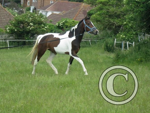 Ghost 2nd time lunge (16)