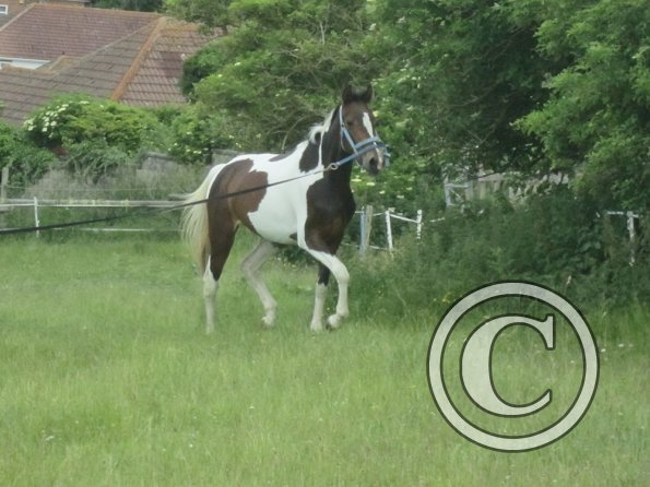 Ghost 2nd time lunge (17)