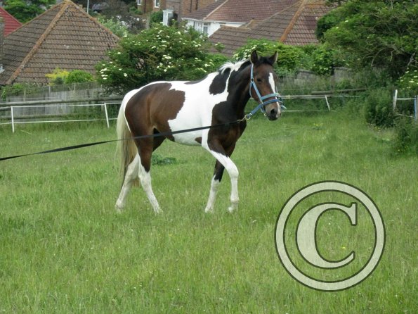 Ghost 2nd time lunge (18)