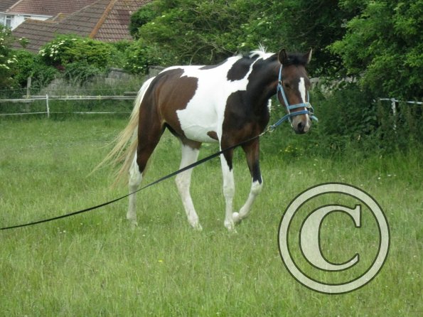 Ghost 2nd time lunge (20)