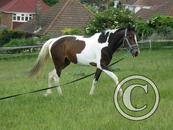 Ghost 2nd time lunge (21)