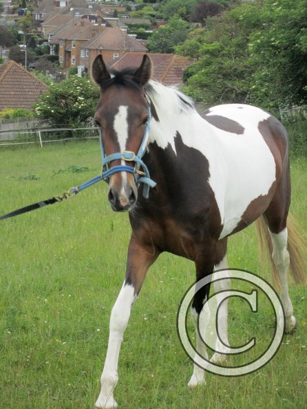 Ghost 2nd time lunge (22)