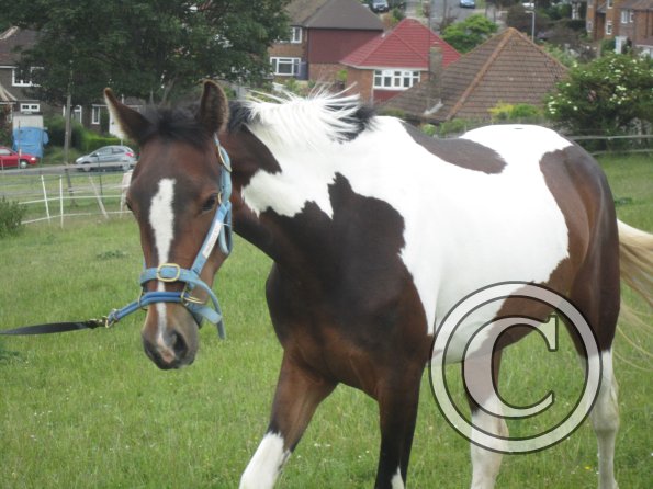 Ghost 2nd time lunge (23)